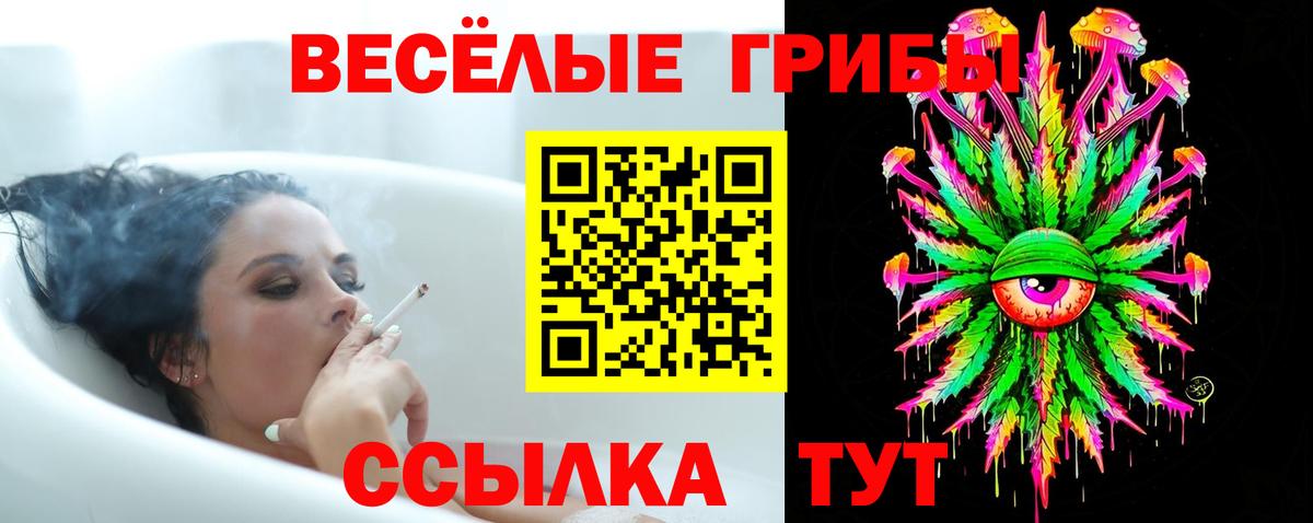 Псилоцибиновые грибы Psilocybe Верхний Уфалей